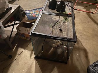 Moving Sale 12/6 Reptile Terrarium 40gal Or Best Offer