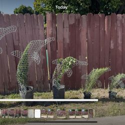 Dolphin Topiaries With Plant 