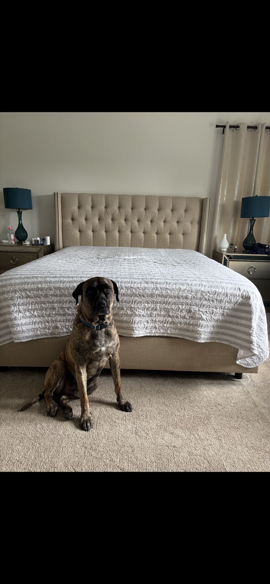 California Kings Bed Used