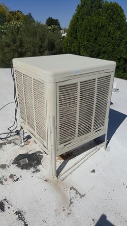 Cooler