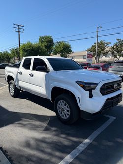 Tint for sale