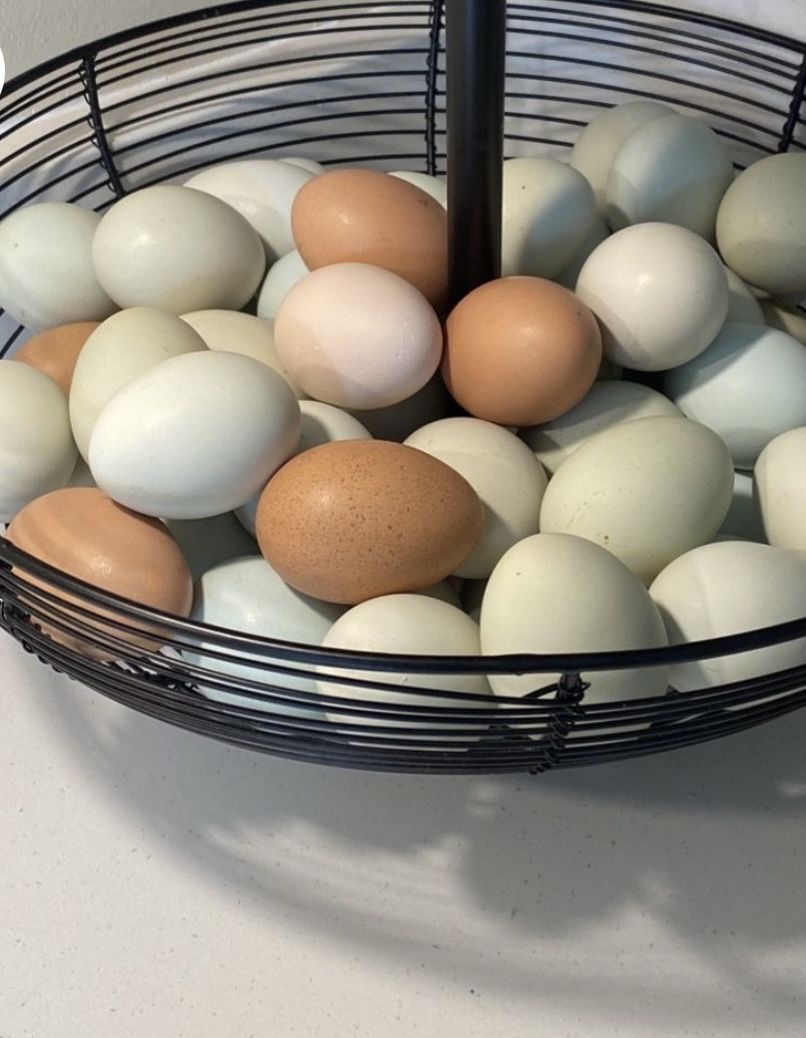 Eggs