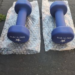 6 Lbs. Neoprene Dumbbells.