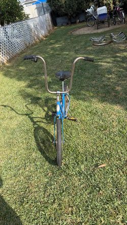 Schwinn fairlady