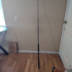 Sabre By Penn  Fishing Rod