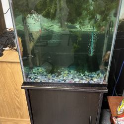 Fish Tank and Stand