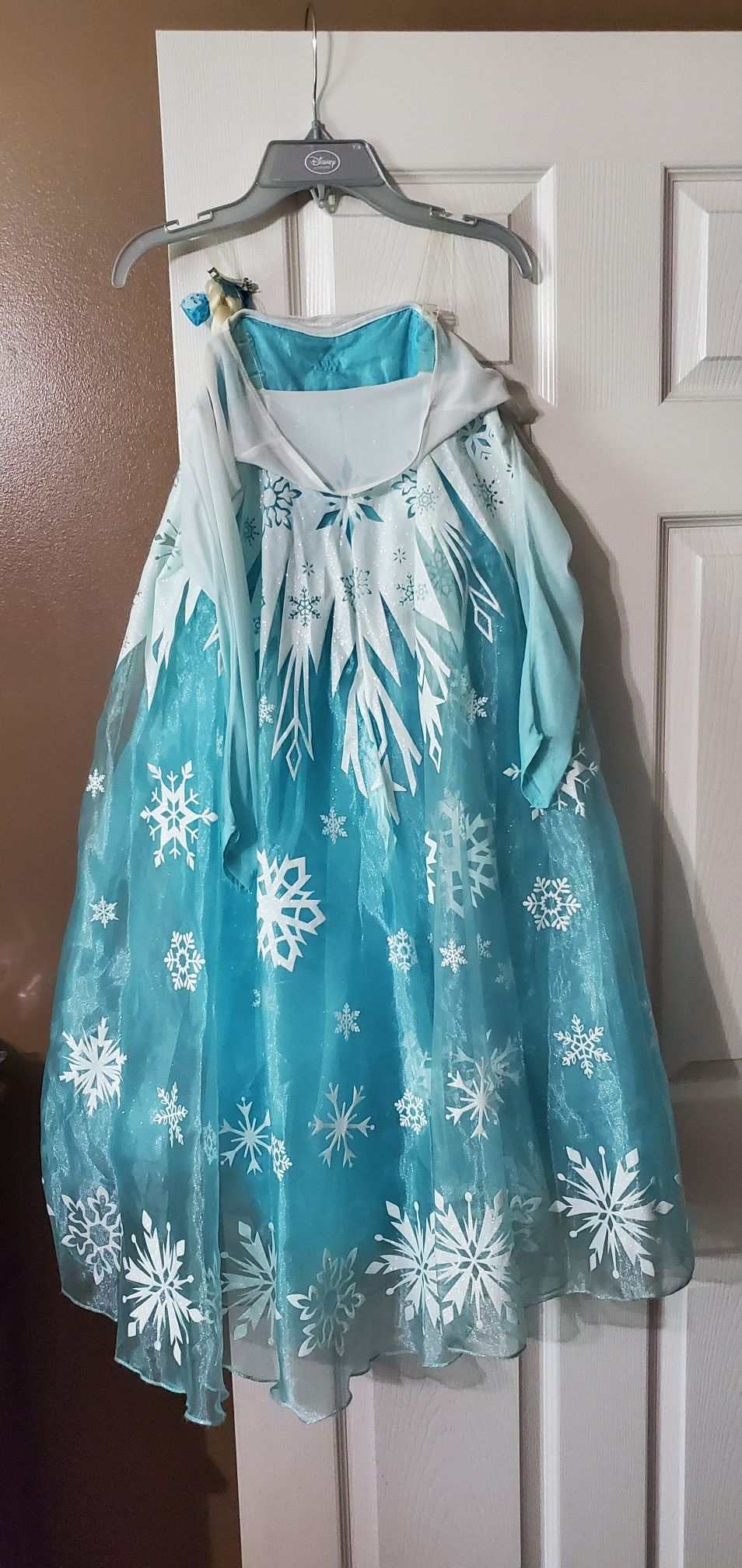 Frozen Costume