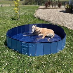 New In Box 59 Inch Diameter Easy Setup Foldable Portable Pet Dog Puppy Swimming Pool With Water Drain Plug Sets Up In Minutes 