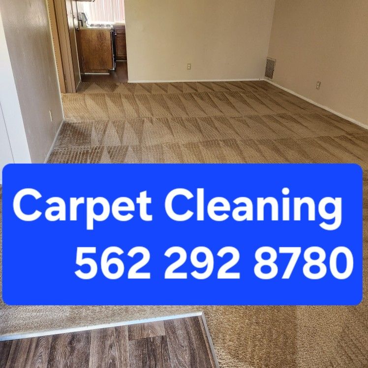 Deep Steam Carpet Cleaning