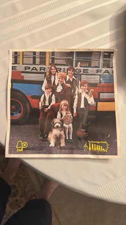 Partridge family picture