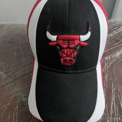 Vintage Bulls Cap Early 2000’s