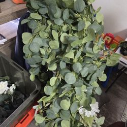 Foral And Glass Tubs