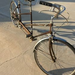 Schwinn Tandem Bike