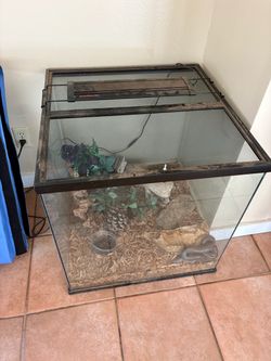 Reptile tanks and supplies