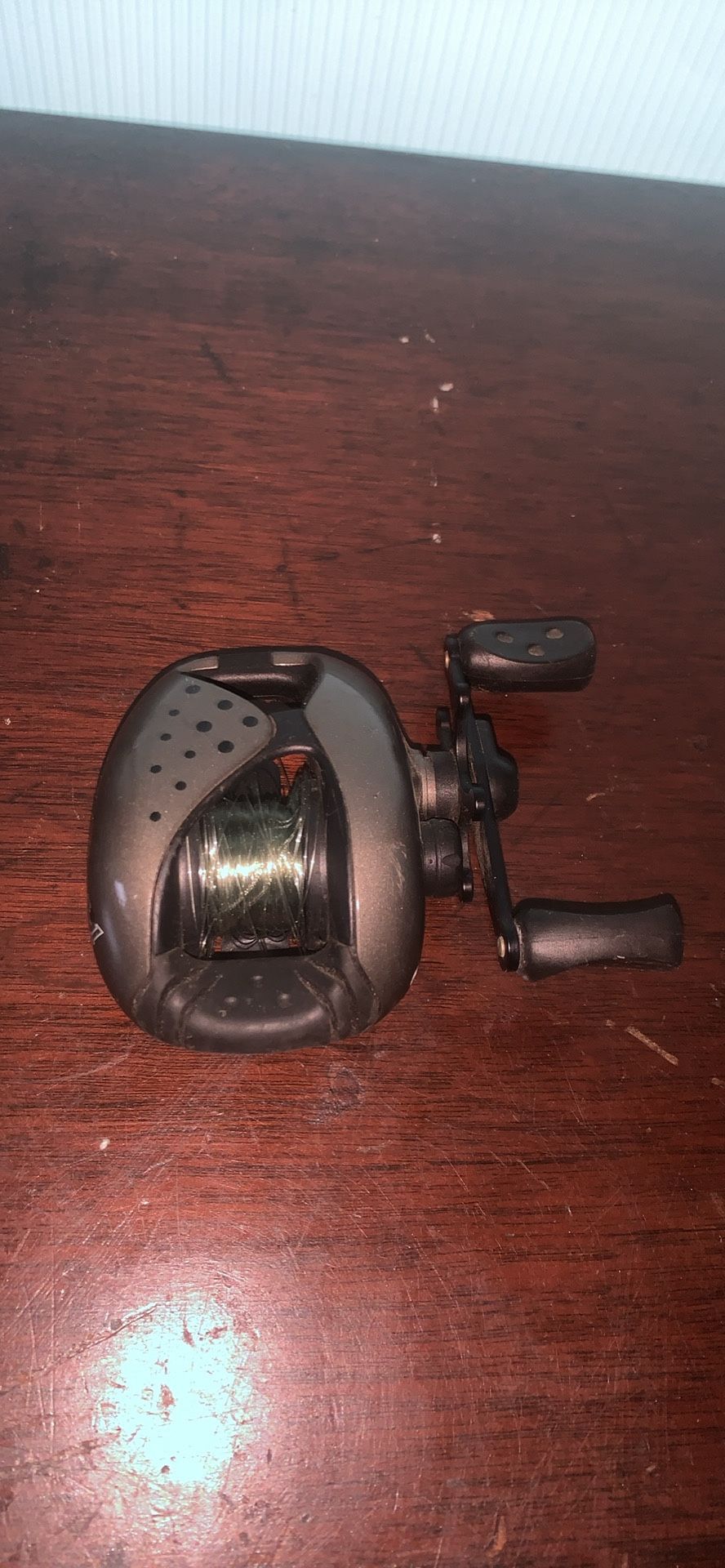 Fishing Reel (ambassador)