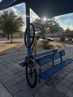 29inch throne fixie