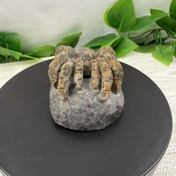 Crystal Stone Tarantula Carving