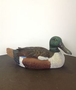 Big white chested duck