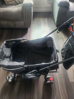 Carriola para el michi!! Para tu gato