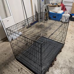 Dog Kennel