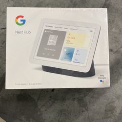 Nest Hub