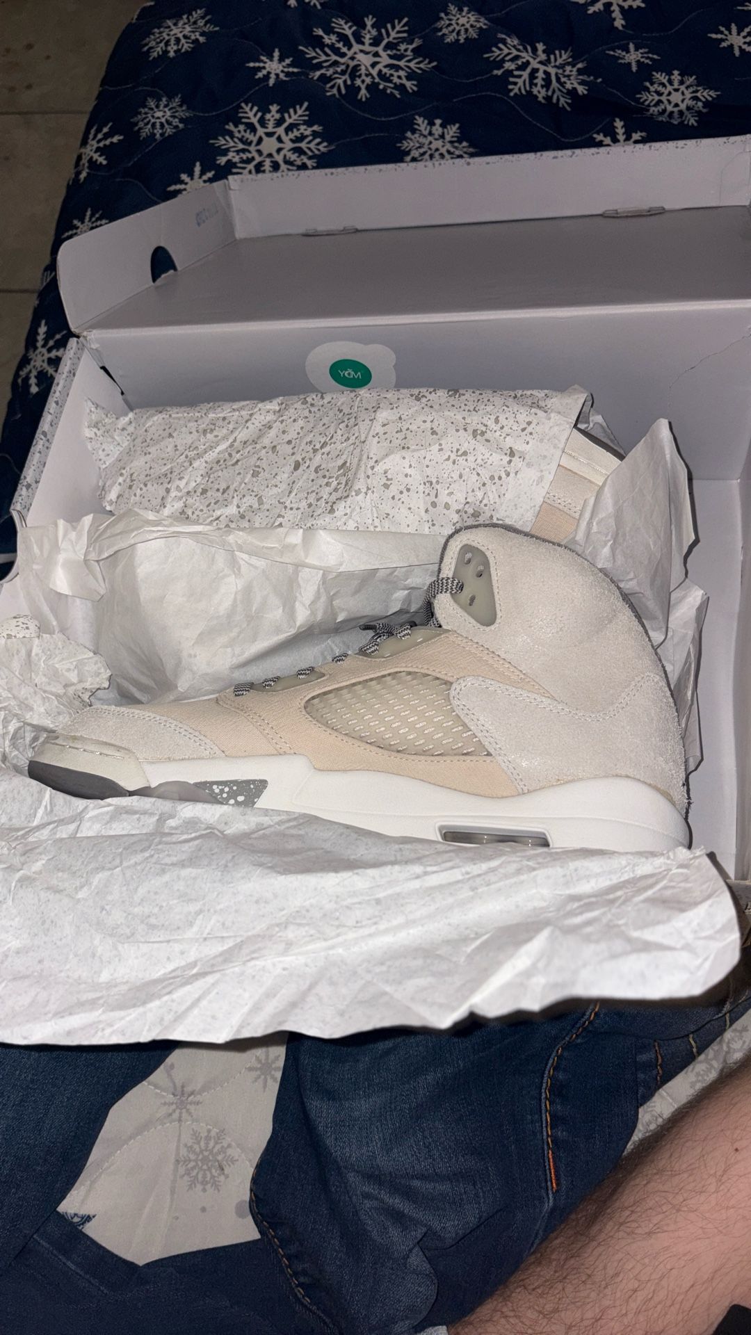 Jordan 5 Retro Se 