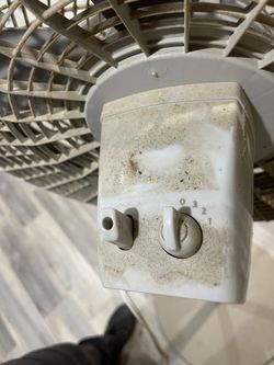 Fan