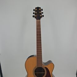 Takamine Eletric/Acoustic Guitar