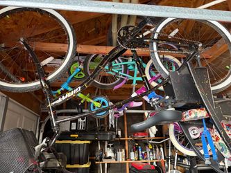 Giant beach cruiser