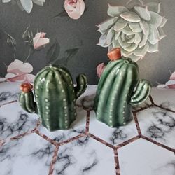 Cactus Salt & Pepper Shakers