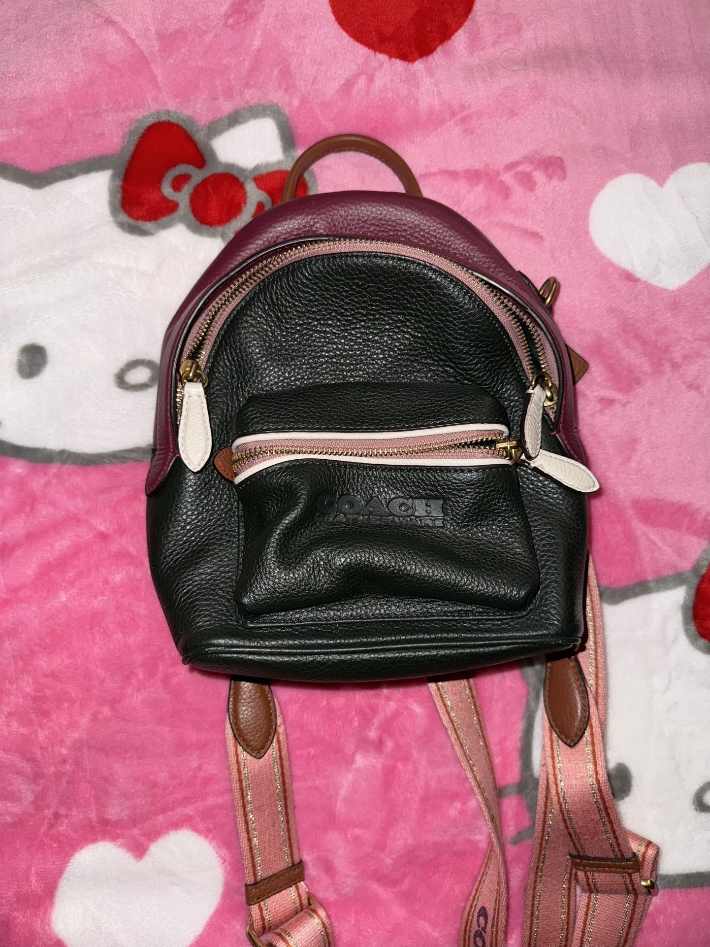 Coach Mini Backpack