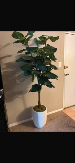 Large Artificial Plant with White Planter