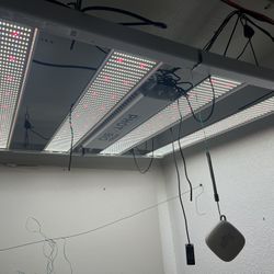 Grow light Photobio mx 680w LED Light 