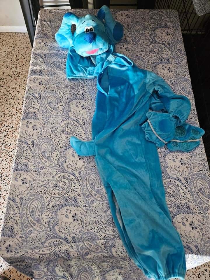 Blues Clues Costume
