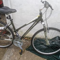 Women's G.T. Mtn Bike 