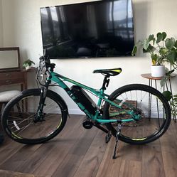 Class 3 premium eBike - 32mph, Mid-drive Motor, 700W Battery