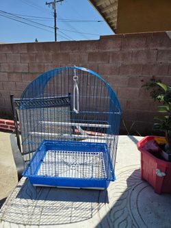 Bird Cage