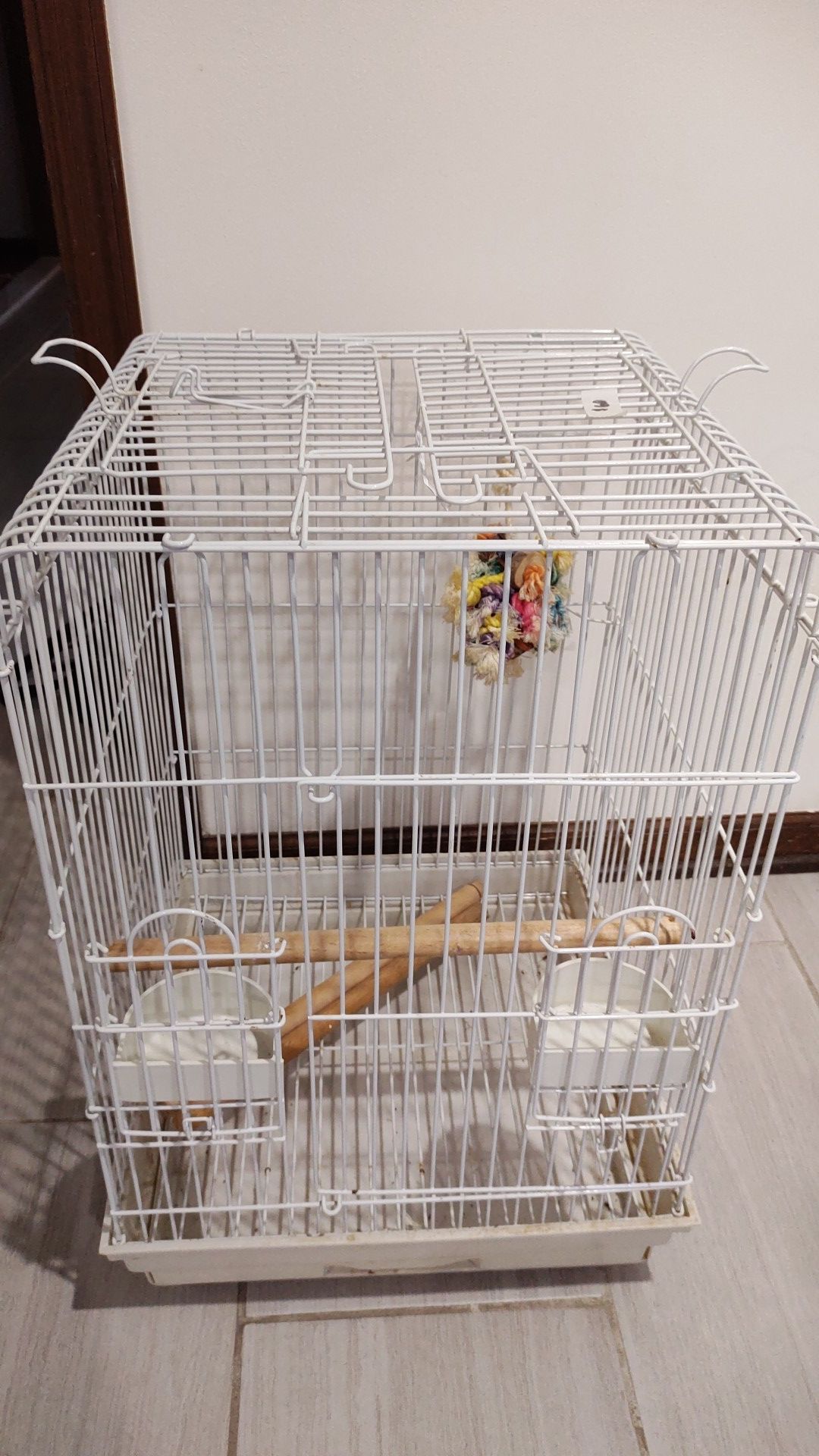 Bird Parrot Cage - Used