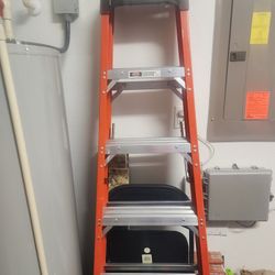 WERNER Professional 300lb Weight Limit Ladder