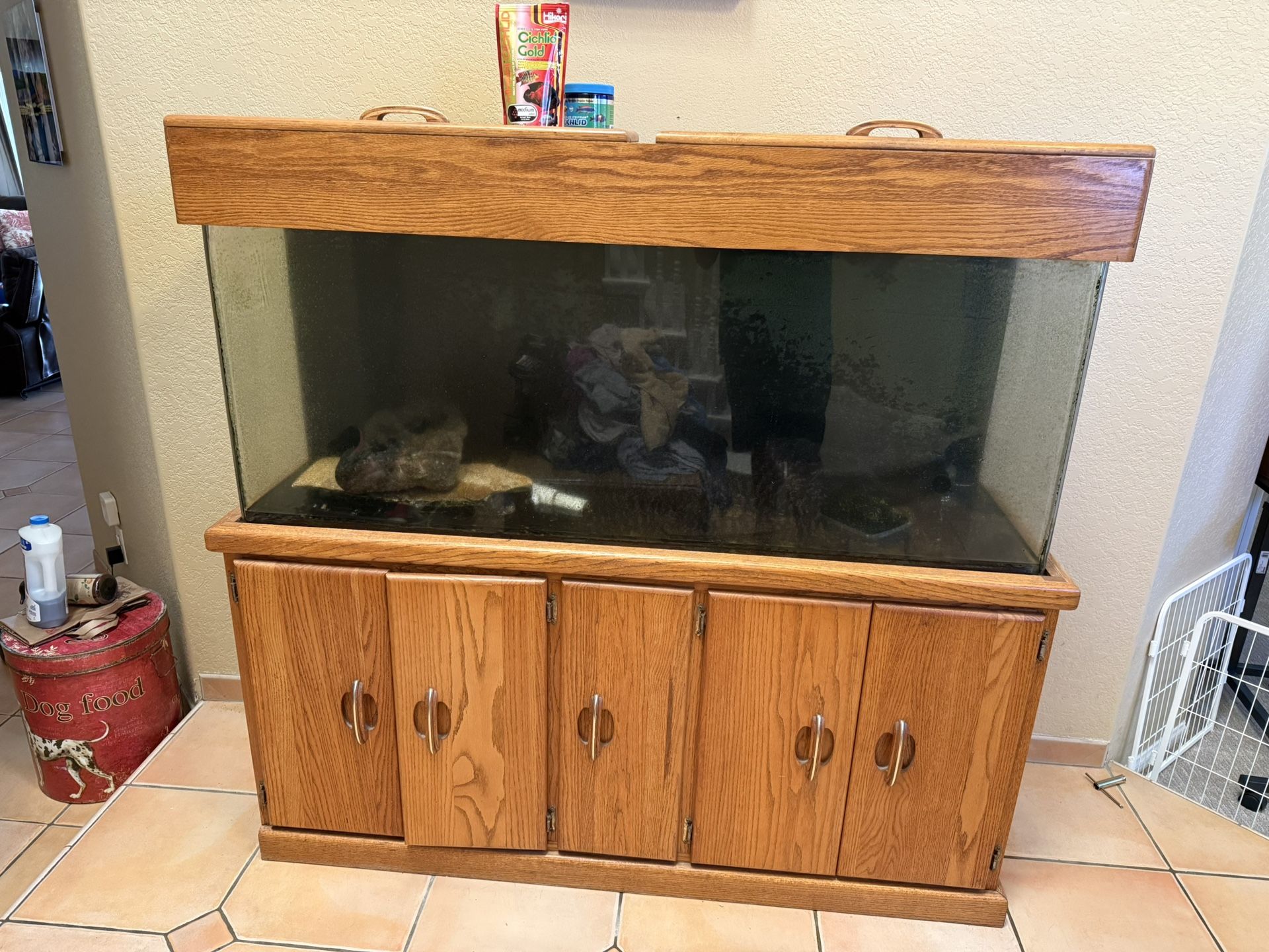 Acrylic Aquarium