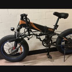 Foldable Electric Bike (SDU)