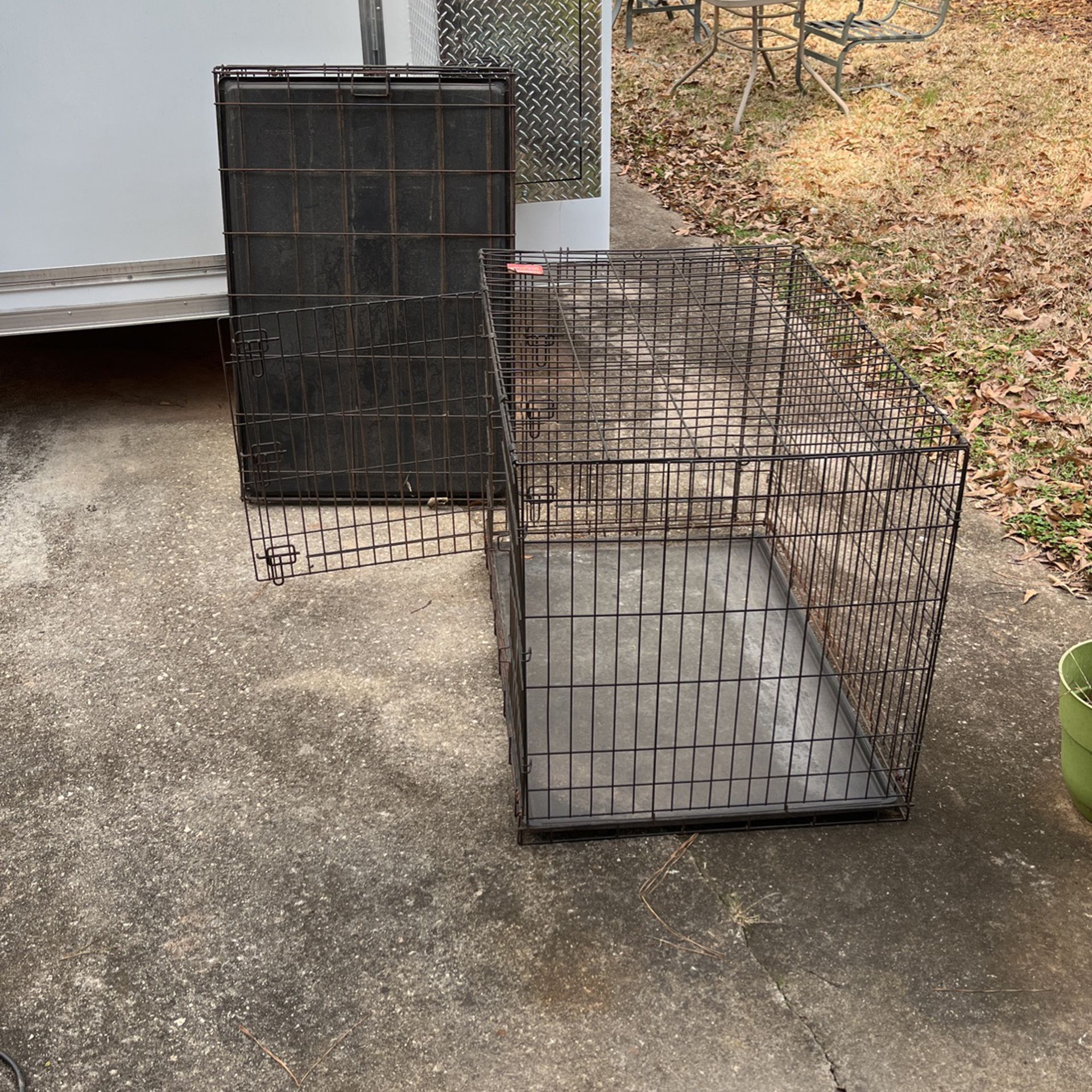 Dog Cages 2 Available 