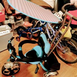 Bicicleta. 