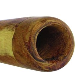 Didgeridoo Eucalyptus (50 inch)