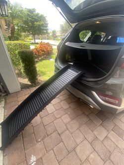 Dog Ramp for Cars