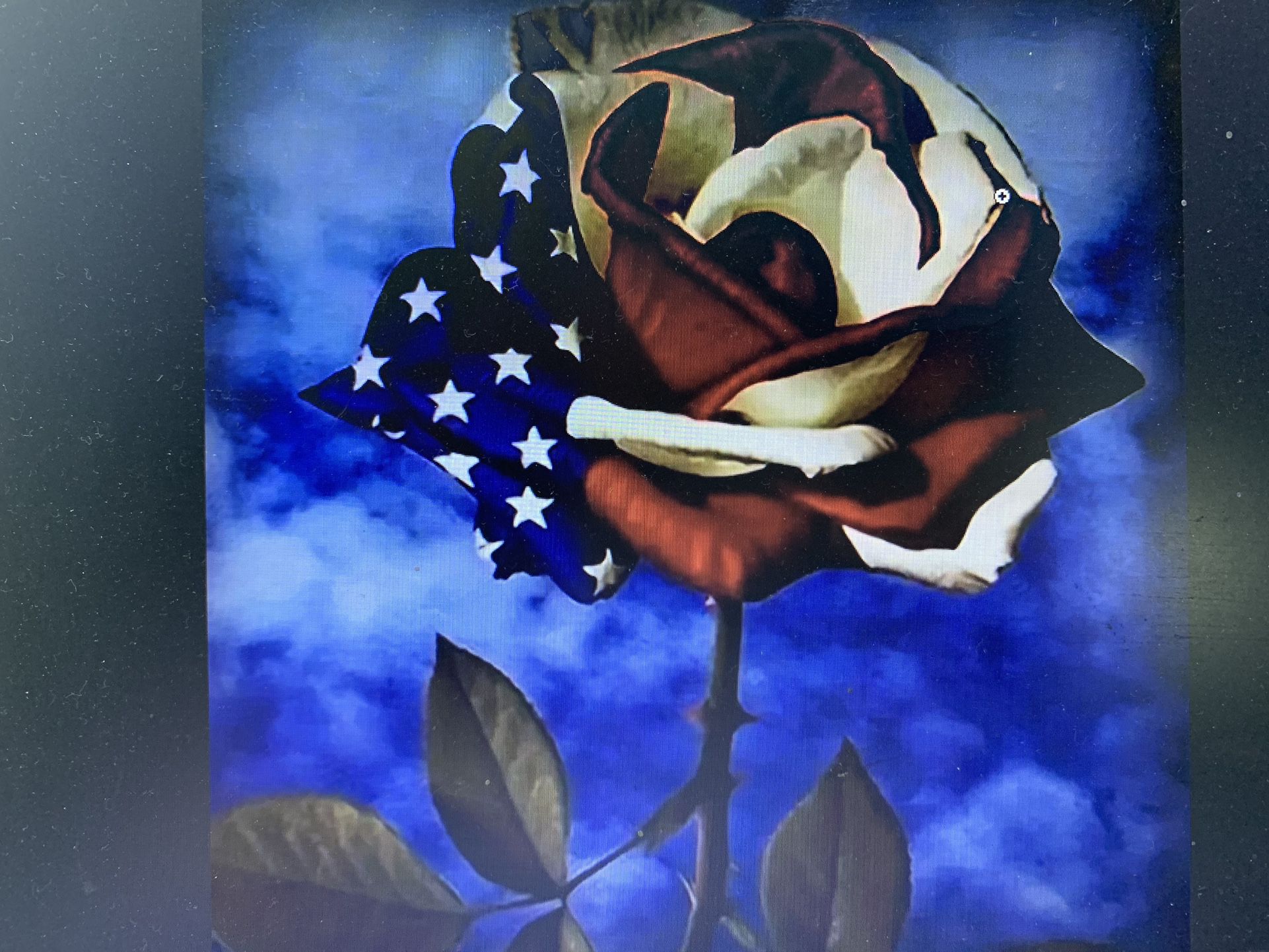 DIY 5D Artificial Diamond Painting American Flag Rose No Frame 