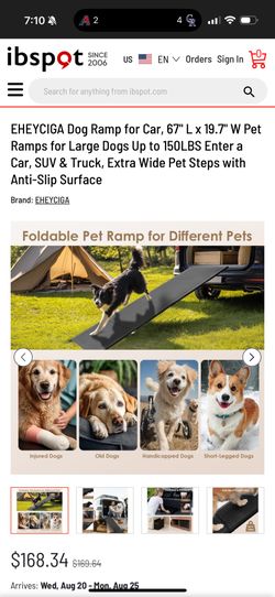Dog Ramp