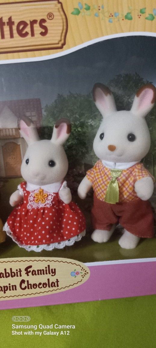 New Unopened Sealed Boxes Of Calico Critters Toys Figures Collectable Make Me A Reasonable Offer Great Gift For Someone Special