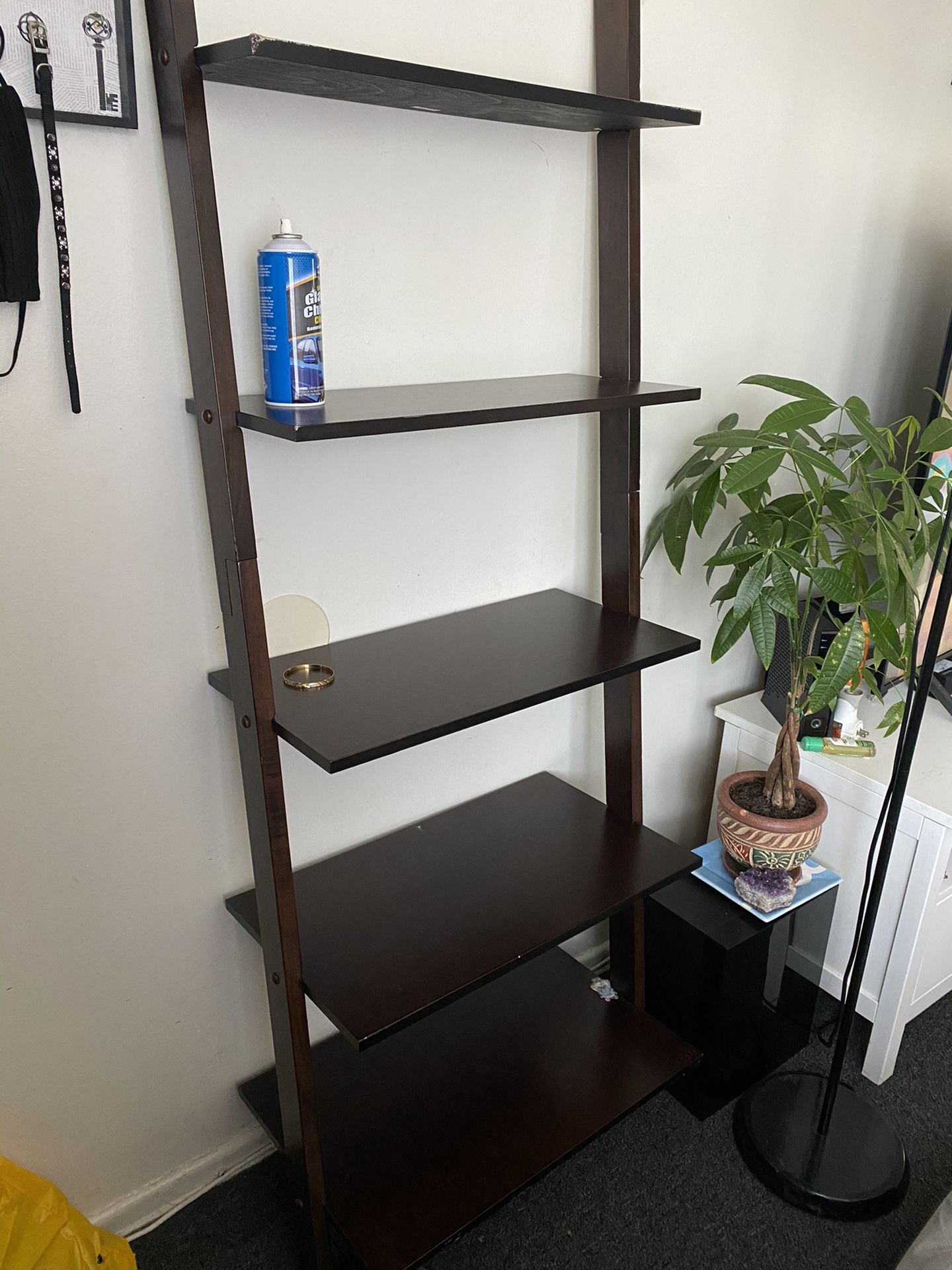 Ladder Shelf