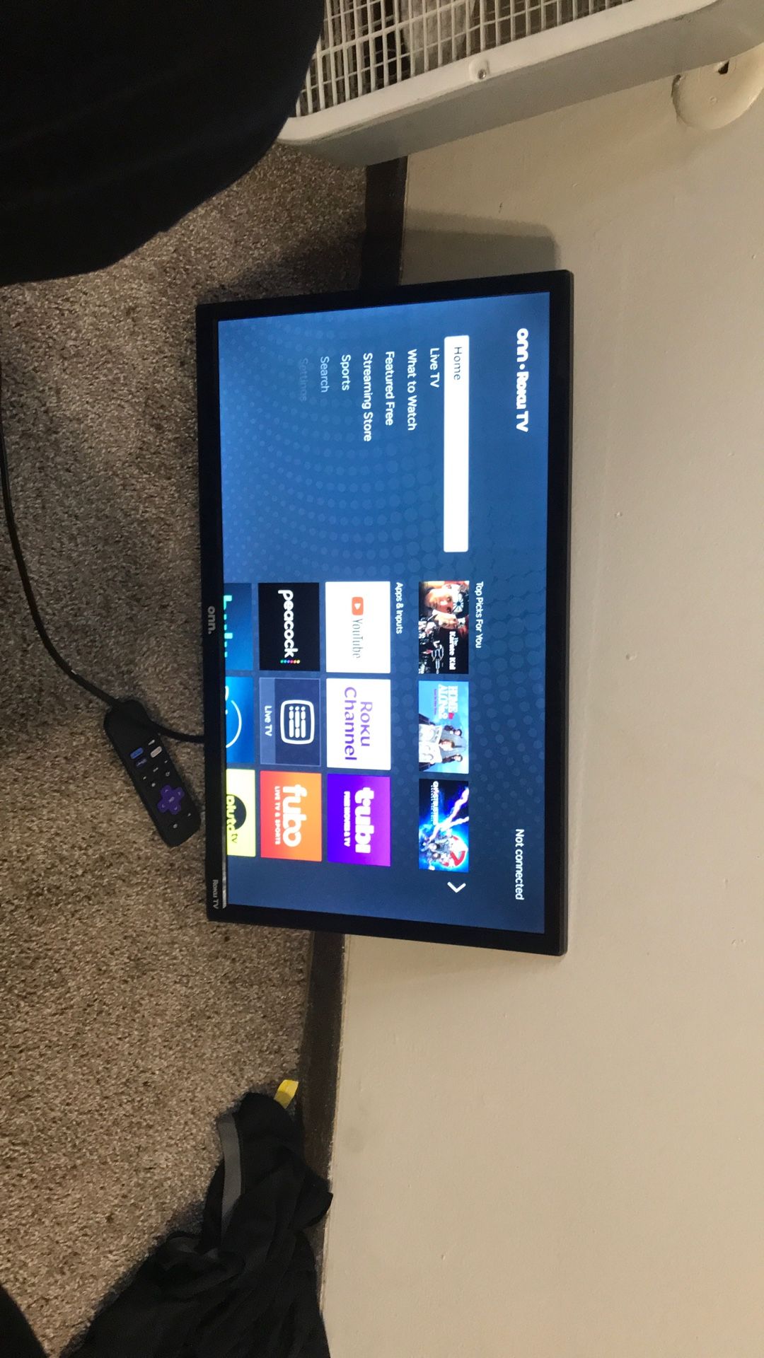 Roku Tv With Extra Battery’s